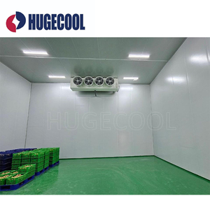 Hugecool Congélateur Walkin Personnalisé Refroidisseur Chambre Froide Chambre Refroidisseur pour Légumes Fruits - Product Image 5