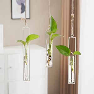 Vase créatif en fer et verre à bas prix avec corde de chanvre, suspension murale pour salon, conteneur pour plantes hydroponiques, décoration murale suspendue - Product Image 2