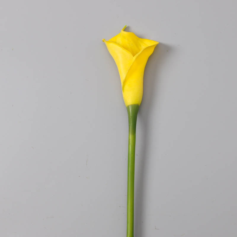 Amarillo