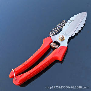 Ciseaux à ail Tian Lao San 5 pouces en acier inoxydable à tête droite, ciseaux de cuisine robustes pour couper les gousses, les racines et les tiges d'ail - Product Image 3