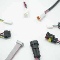 Kabel Harness Konduktor Aluminium IP66 Berkualitas Tinggi 2-6 Pin JST XH SH ZH Molex dengan Pitch 1.0/1.5/2.0/2.5 untuk Elektronik Papan