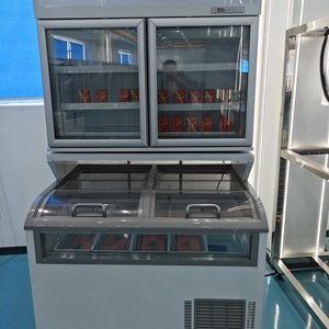 Congelador de arcón comercial Refrigerador de tipo combinado reemplazable Congelador de pie - Product Image 6