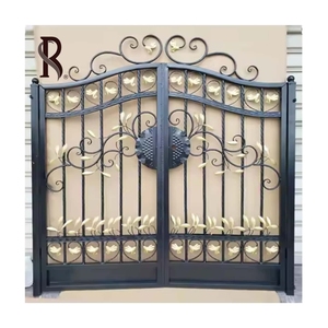 Rising Custom Windproof Modern Metal Grill Diseño de doble puerta Puerta delantera esmaltada Precio forjado de hierro con precio de fábrica - Product Image 1