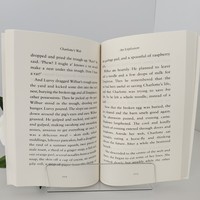 Книги оптом от Charlotte's Web: мягкая обложка, индивидуальная печать, легкая бумага, романы для взрослых, учебные пособия, цветная печать обложки.