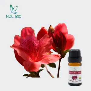 Bonne qualité personnalisé soins de santé naturel Daurian Rhododendron huile essentielle