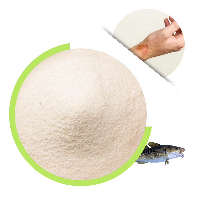 Fish collagen powder manufacturer