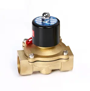 Válvula Solenoide de latón SNS 2W250-25, 1 pulgada, normalmente cerrada, con DC12V DC24v AC220V