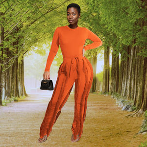 Conjunto de pantalones informales de manga larga con borlas para <span class=keywords><strong>mujer</strong></span>, conjunto de 2 piezas de moda, C0609TA1 - Product Image 3