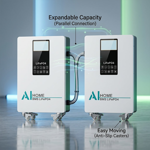 แบตเตอรี่ LiFePO4 ความจุขนาดใหญ่ 51.2V 314Ah พร้อมระบบจัดการแบตเตอรี่อัจฉริยะในตัว สำหรับจัดเก็บพลังงานแสงอาทิตย์สำหรับที่อยู่อาศัย - Product Image 2