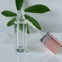 Contenants de luxe carrés en plastique doré pour gloss et rouge à lèvres avec bouchon à vis et emballage personnalisé pour gloss