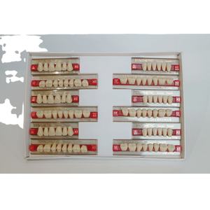 Fornitura dentale manuale denti plastica resina polimerica per protesi dentarie - Product Image 6