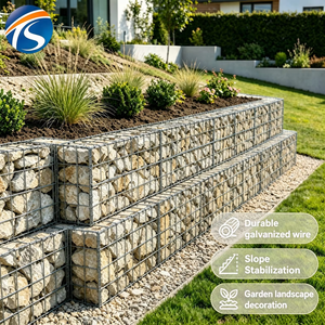 Einfache Installation Hohe Zugfestigkeit 50*100mm Spiralförmig Verbundene Geschweißte Gabione für Gartendekoration - Product Image 3
