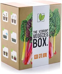 Vibrant Rau hộp làm vườn Bộ dụng cụ cho trẻ em Vườn cấy ghép công cụ Kit nhà máy nhựa progagator khay Kit Starter