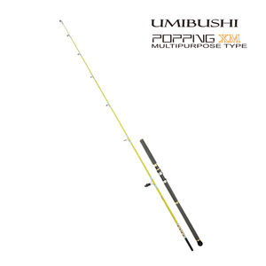 Canne à pêche UMIBUSHI Popping Carbon 2 brins, action moyenne, résistance maximale 16 kg, pour leurres et pêche à la mouche, canne à thon avec porte-moulinet <span class=keywords><strong>FUGI</strong></span> DPS - Product Image 4