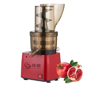 300W High Efficiency Wide Mouth Chute Auto Feeding Cold Press Pomegranates Slow Juicer For Home Use Commercial Juice Bar