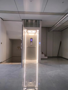 Ascensore Residenziale Idraulico Contemporaneo per Piccole Abitazioni, Scala Mobile Elettrica per Case e Appartamenti - Product Image 6