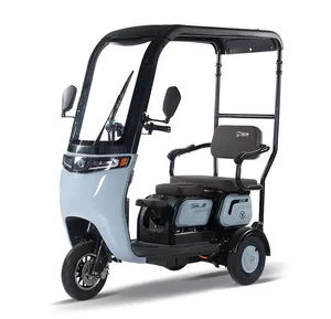 2024 nuovo design del veicolo elettrico triciclo per adulti triciclo elettrico con tetto triciclo elettrico vendita all'ingrosso