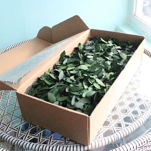 Vraies feuilles d'<span class=keywords><strong>eucalyptus</strong></span> séchées en vrac pour bougie d'aromathérapie bricolage décor à la maison coffret cadeau parfumé naturel - Product Image 2
