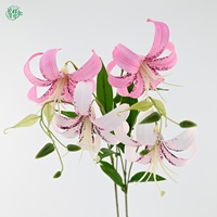 Lebensechte Künstliche Seiden-Lilienblumen 79cm Stiele mit Flecken für Heim-Hochzeitsdekoration Wohnzimmer Tischdekoration
