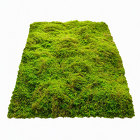 Tapis de mousse artificielle vert mousseux, texture en grumeaux, pour fond de terrarium de plantes succulentes, décoration murale, couverture de bonsaï