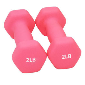 Haltères ChaHang Fitness en vinyle, équipement de musculation, entraînement sportif, haltères en fonte antidérapants en néoprène pour femmes, haltères de sport ChaHang Fitness - Product Image 6