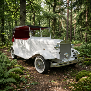 Offre Spéciale : Voiture Électrique de Tourisme Vintage, Style Rétro Classique, 5 Places, pour Complexes Hôteliers – Voiture Classique Électrique Blanche à Vendre - Product Image 1