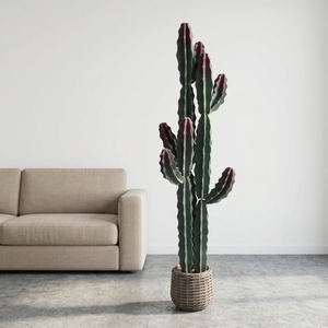 Plantes artificielles en pot de cactus résistantes aux intempéries, fourniture directe d'usine fiable, pour la <span class=keywords><strong>décoration</strong></span> intérieure et de <span class=keywords><strong>balcon</strong></span> - Product Image 3