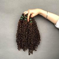 Extensions de cheveux vierges vietnamiennes de qualité supérieure, doublement étirées, cuticules alignées, Funmi Pixie Curl, couleur marron # 4 couleurs