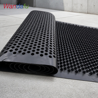 Planche de drainage alvéolée en plastique pour mur de soutènement de sous-sol, toit végétal, garage souterrain, tunnel, mat de drainage imperméabilisant