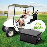 Harga Pabrik Baterai Lithium LiFePO4 38.4V 100Ah Isi Ulang untuk Golf Cart dengan Proteksi BMS Cerdas Terintegrasi CAN/RS485
