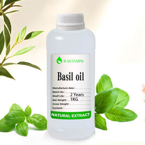 Huile de <span class=keywords><strong>basilic</strong></span> pur Ocimum Basilium Huile essentielle Fabricant à la quantité en vrac Huile de <span class=keywords><strong>basilic</strong></span> pur - Product Image 5