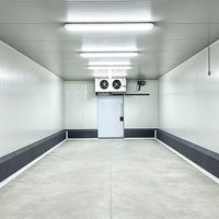 Produsen Ruang Pendingin Kontainer 20ft 40ft Portabel dengan Sistem Pemantauan Jarak Jauh, Freezer Walk-In, dan Cold Room
