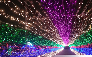 Ngoài trời giáng sinh Cổ Tích lễ hội Đèn Sân Vườn 20m 200led Flash <span class=keywords><strong>String</strong></span> ánh sáng cho Patio, sân, vườn, đám cưới - Product Image 5