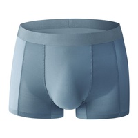 Boxers pour hommes en maille de nylon D09, haute élasticité, respirants, sous-vêtements d'été pour hommes, stock d'usine