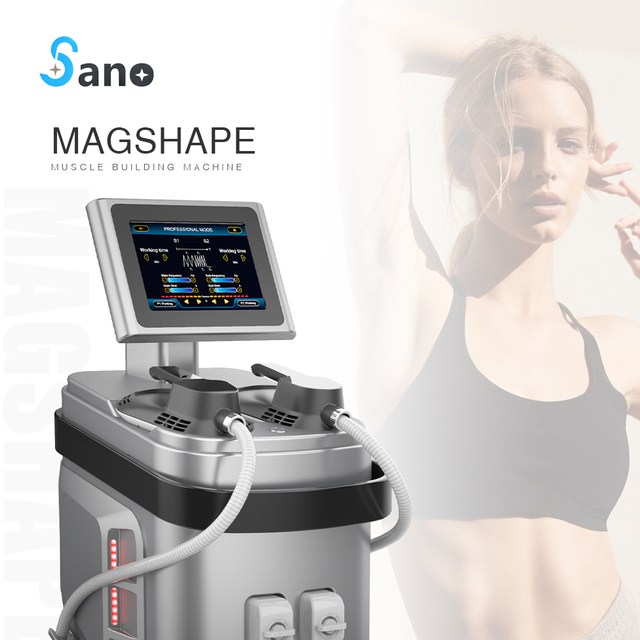 Professional EMS Electro Muscle Stimulate Beauty Body Slimming Machine for Weight Loss