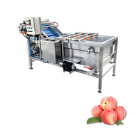 Ligne de lavage et de traitement des légumes certifiée CE (laitue/tomates/avocats/radis/choux/épinards) 220v/380v
