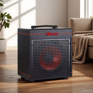 AIERKE EWAVE-Amplificador de bajos de 30W, construcción duradera para concierto para fagot, para jugadores de fagot - Product Image 2