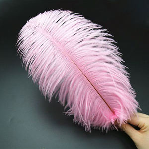 Grande plume d'autruche multicolore pour la décoration <span class=keywords><strong>de</strong></span> mariage Oiseau d'Afrique du Sud Costume <span class=keywords><strong>de</strong></span> carnaval d'art réel - Product Image 5