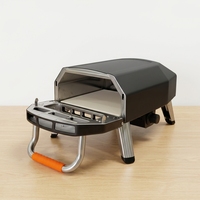 Four à pizza au gaz portable de 12 pouces pour l'extérieur avec porte en verre et thermomètre, alimenté au gaz naturel, four à pizza à pierre