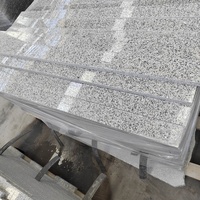 Escaliers en granit gris Hotselling G603 pour projet de matériaux de construction