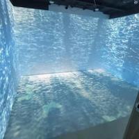 Tecnología de Cueva de Realidad Virtual 3D 360, Experiencia Visual 3D Inmersiva, Exhibición de Arte, Sistema de Mapeo de Proyección, Sala de Mundo Virtual