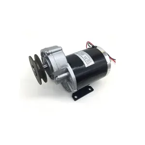 600W 36V 48V Permanent Magnet Brushed Electric Tricycle Belt Pulley DC Geared Motor Solar Water Pump Water Pump Drive MY1020Z