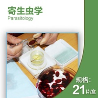 21 pcs for medical school Parasitology slides, Human parasitolgy slides , Biology parasitolgy slides