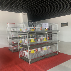 Suministro directo de fábrica, el mejor <span class=keywords><strong>precio</strong></span>, gallinas ponedoras, cría de pollos, jaula de batería - Product Image 5
