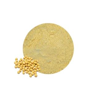 Натуральный экстракт сои Longsheng, хит продаж, 40%-90% соевых изофлавонов, порошок растительного экстракта для БАДов - Product Image 1