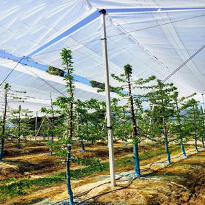 Bâche de protection renforcée anti-UV en tissu tissé HDPE <span class=keywords><strong>pour</strong></span> serre et verger - Product Image 2