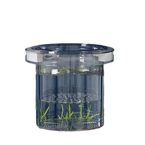 Caja de cría de peces de acuario, caja de cría de aislamiento de peces acrílicos, caja de incubadora para incubar, peces bebés, camarones, pez payaso, Guppy - Product Image 5