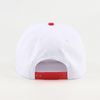 Groothandel ingewikkeld bewerkte unisex gestructureerde baseballpet met gepersonaliseerd patroon overal geborduurd op de klep voor streetwear