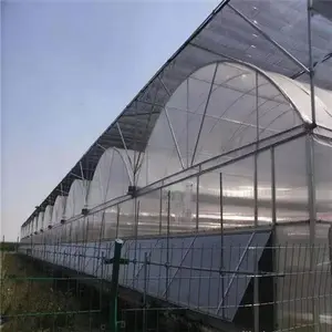 Low Cost Greenhouse Structure Chinese Greenhouse Green House On Sale