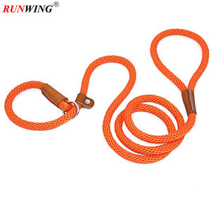 Guinzaglio per cani guinzaglio corda di piombo forte corda intrecciata senza guinzagli di traino - Product Image 2